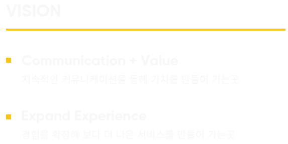 비전